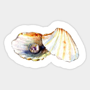 Pearl shell Sticker